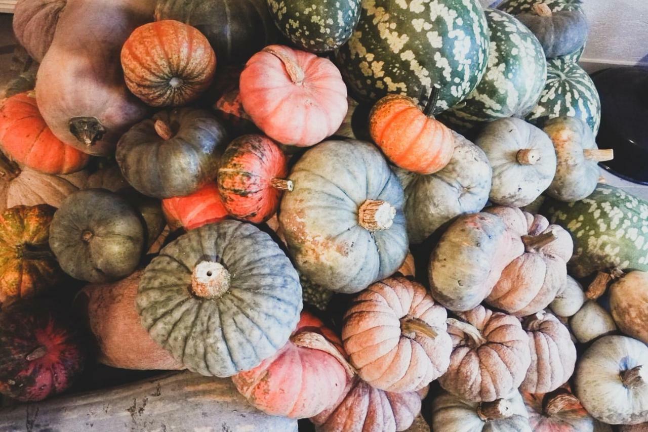 Agriturismo Fiori Di Zucca Φοσάνο Εξωτερικό φωτογραφία